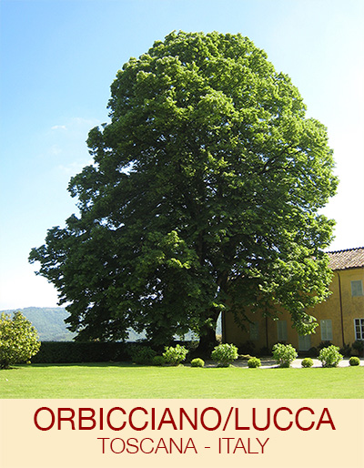 Villa Spada Orbicciano